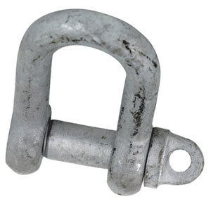 Dee Shackles