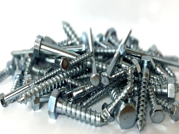 Coach Screws