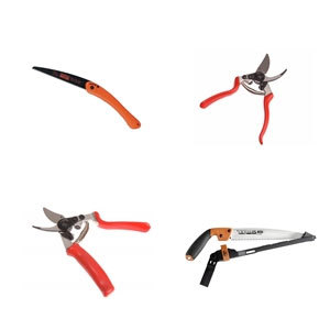 Pruning